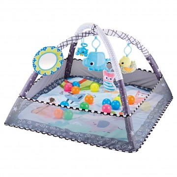 2 In 1 Zoo Playgym