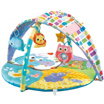2 In 1 Sky Canopy Playgym