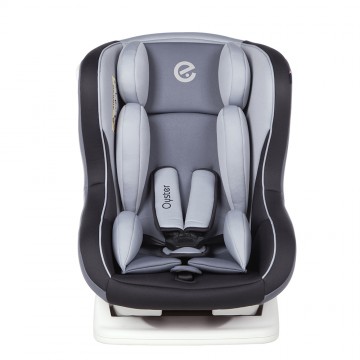 Aries™ Safety Carseat - Grey